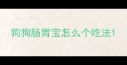 狗狗肠胃宝怎么个吃法