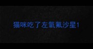 猫咪吃了左氧氟沙星