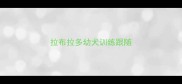 拉布拉多幼犬训练跟随