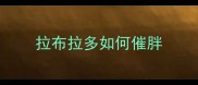 拉布拉多如何催胖