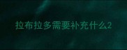 拉布拉多需要补充什么