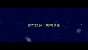 拉布拉多小狗喂食量