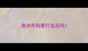 澳洲养狗要打疫苗吗