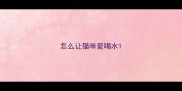 怎么让猫咪爱喝水