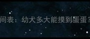 公犬睾丸发育时间表幼犬多大能摸到蛋蛋科学养护指南