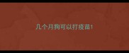 几个月狗可以打疫苗