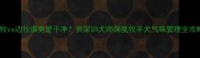 苏牧vs边牧谁更爱干净资深训犬师深度牧羊犬气味管理全攻略