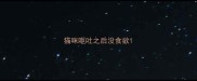 猫咪呕吐之后没食欲
