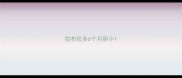 拉布拉多6个月胆小