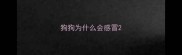 狗狗为什么会感冒