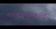 孕妇养宠物狗可以吗