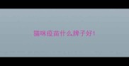 猫咪疫苗什么牌子好