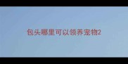 包头哪里可以领养宠物