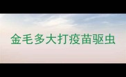 金毛多大打疫苗驱虫