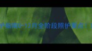 猫咪黄金月龄养护指南0-12月全阶段照护要点新手铲屎官必看