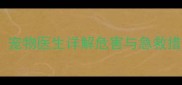 狗狗误食香肠皮怎么办宠物医生详解危害与急救措施附安全喂养指南