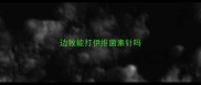 边牧能打伊维菌素针吗