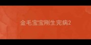 金毛宝宝刚生完病