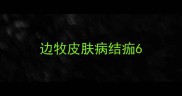 边牧皮肤病结痂6