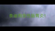 泰迪狗急性肠胃炎