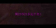 黑拉布拉多起白色