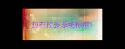 拉布拉多系统标准