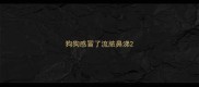 狗狗感冒了流脓鼻涕
