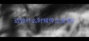 边牧什么时候停止发育