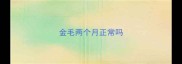 金毛两个月正常吗