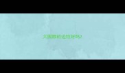 大围脖的边牧好吗