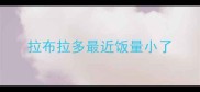 拉布拉多最近饭量小了