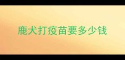 鹿犬打疫苗要多少钱
