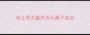 哈士奇犬瘟热舌头鼻子发白