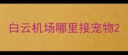 白云机场哪里接宠物