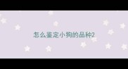 怎么鉴定小狗的品种