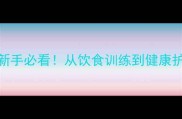 哈士奇饲养全攻略新手必看从饮食训练到健康护理的保姆级教程