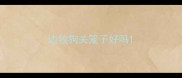 边牧狗关笼子好吗