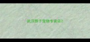 武汉猴子宠物专卖店