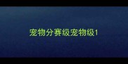 宠物分赛级宠物级