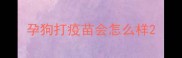 孕狗打疫苗会怎么样