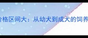 哈士奇价格区间大从幼犬到成犬的饲养成本全