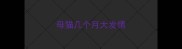 母猫几个月大发情