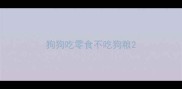 狗狗吃零食不吃狗粮