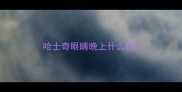 哈士奇眼睛晚上什么样