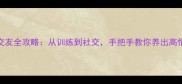 拉布拉多交友全攻略从训练到社交手把手教你养出高情商狗狗