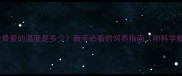 边牧犬最爱的温度是多少新手必看的饲养指南附科学数据