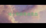 哈士奇跟泰迪混血