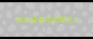 拉布拉多吃鸡骨头
