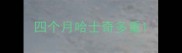 四个月哈士奇多重
