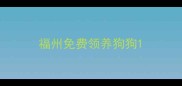 福州免费领养狗狗